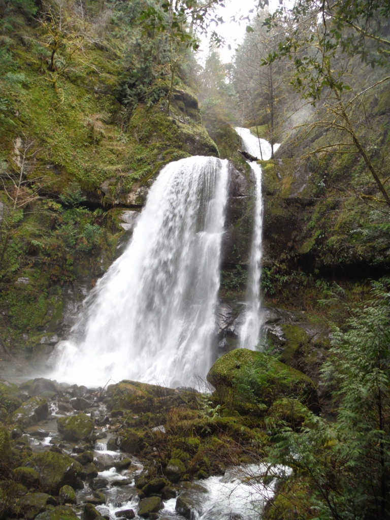 Photo 7 from COQUILLE WATERSHED ASSOCIATION